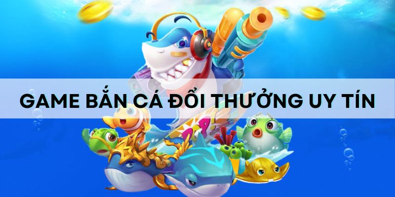 Top 5 cổng game bắn cá đổi thưởng uy tín hàng đầu Việt Nam i9Bet là cổng game có hơn 20 năm hoạt động